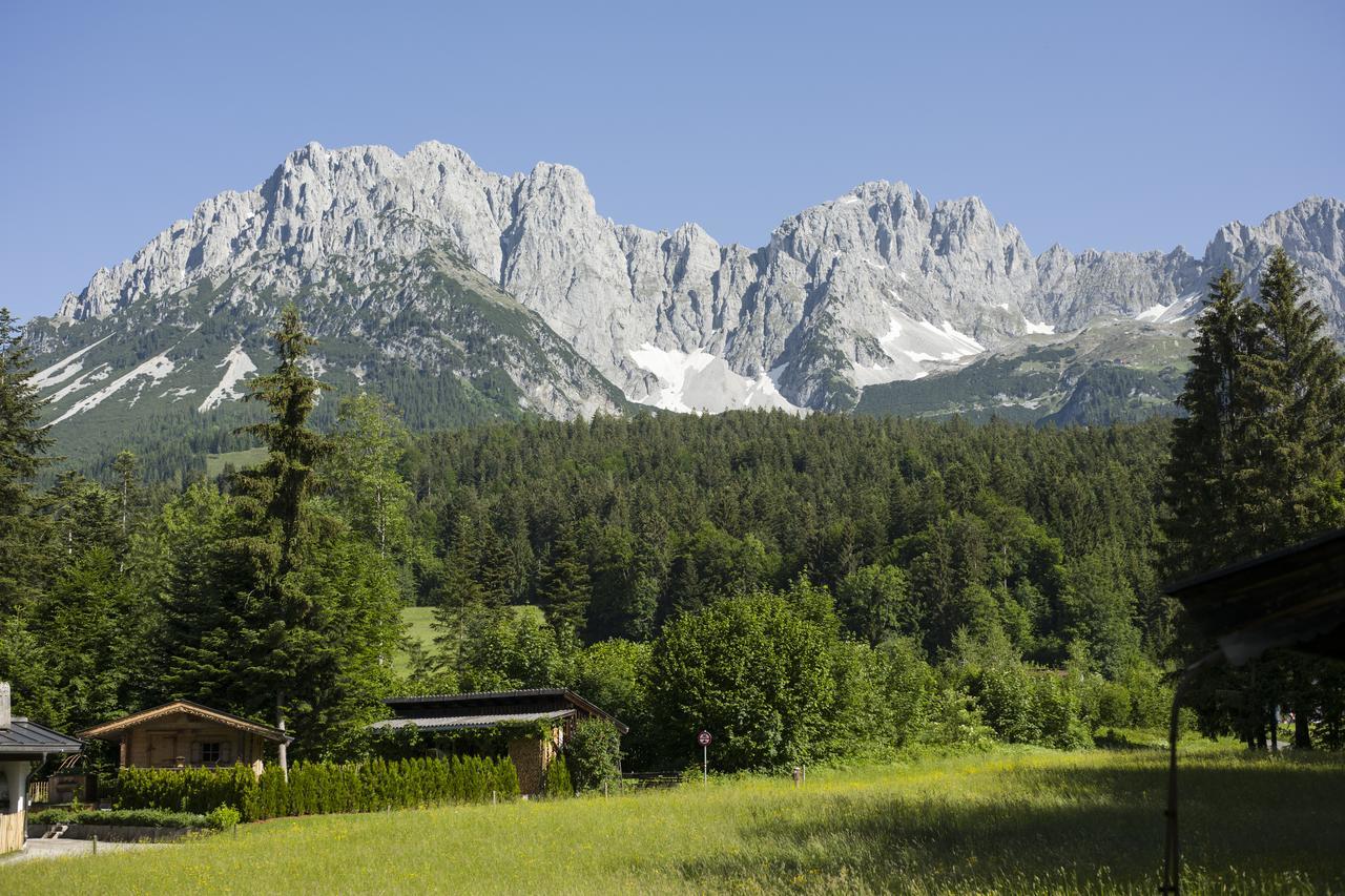 Otto Steiner Appartements Pension Ellmau & Wilder Kaiser Экстерьер фото